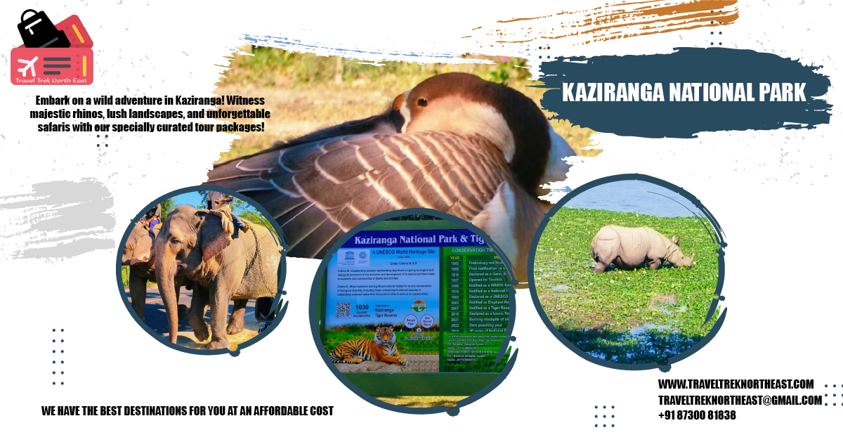 Kaziranga Tour Taxi Booking Services